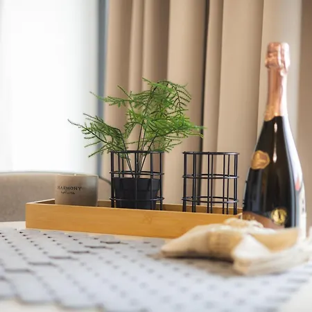 Gray Centrum & 24h Self Check-in With Private Parking Apartamento